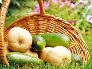 立足田間地頭，胸懷星辰大海 農產品電商創業者的心態修煉與收購之道